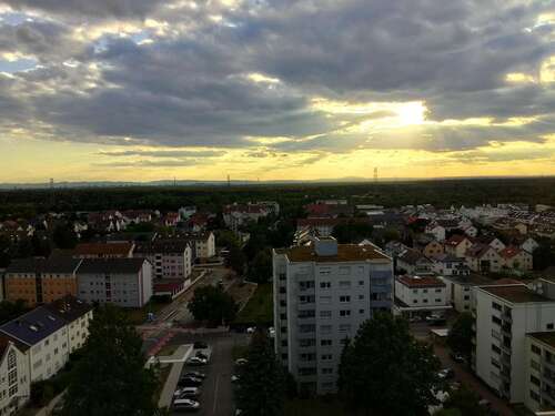 Foto - Wohnung zum Mieten in Viernheim 500,00 € 36 m²