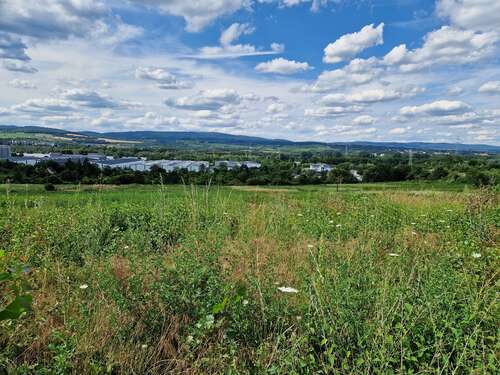 Foto - Grundstück zu verkaufen in Budenheim 493.000,00 € 580 m²