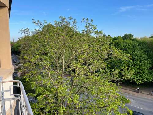 Foto - Wohnung zum Kaufen in Münster 595.000,00 € 95.33 m²