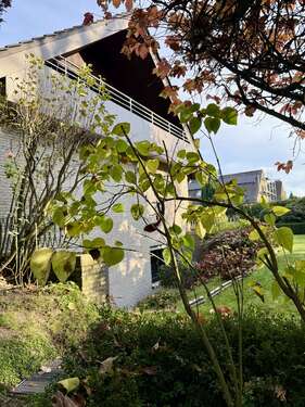 Foto - Haus zum Kaufen in Dülmen 599.000,00 € 307 m²