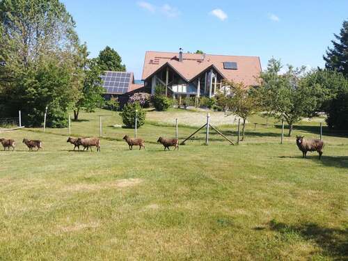 Foto - Haus zum Kaufen in Bad Wurzach 1.650.000,00 € 261.7 m²