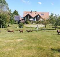 Haus zum Kaufen in Bad Wurzach 1.650.000,00 € 261.7 m²