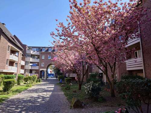 Foto - Wohnung zum Mieten in Bonn 704,00 € 48.53 m²