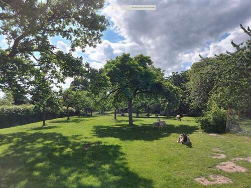 Foto - Haus zum Kaufen in Hückelhoven 675.000,00 € 348 m²