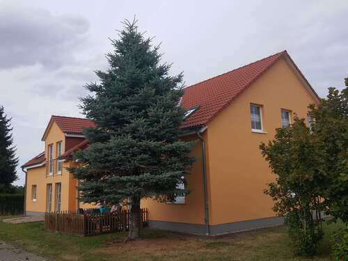 Foto - Wohnung zum Mieten in Hecklingen OT Schneidlingen 345,00 € 58.89 m²