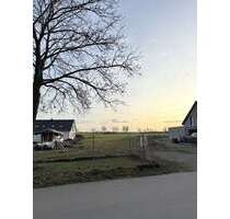 Grundstück zu verkaufen in Burgdorf 178.000,00 € 645 m²