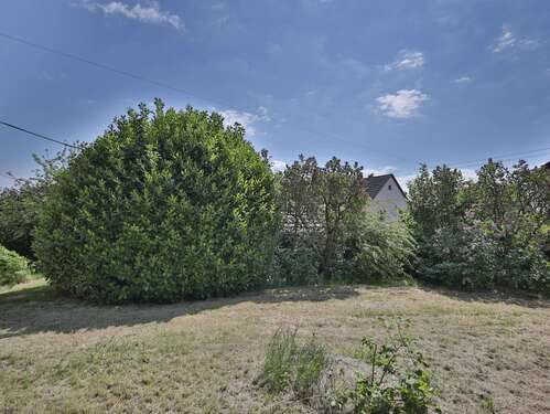 Foto - Grundstück zu verkaufen in Filderstadt 275.000,00 € 370 m²