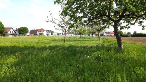 Foto - Grundstück zu verkaufen in München 760.000,00 € 400 m²