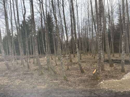 Foto - Grundstück in Eggstätt 43.000,00 € 9600 m²