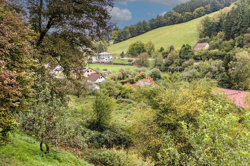 Foto - Grundstück zu verkaufen in Oberzent 49.500,00 € 1031 m²