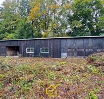 Grundstück in Lößnitz 49.500,00 € 1240 m²