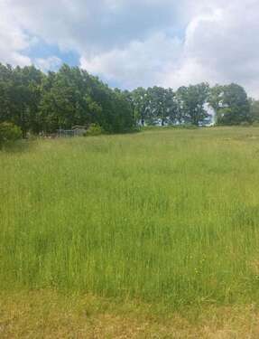Foto - Grundstück zu verkaufen in Bad König 80.000,00 € 995 m²