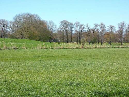 Foto - Haus zum Kaufen in Heinsberg 259.000,00 € 116 m²