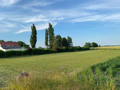 Foto - Grundstück zu verkaufen in Ummanz 220.000,00 € 1269 m²