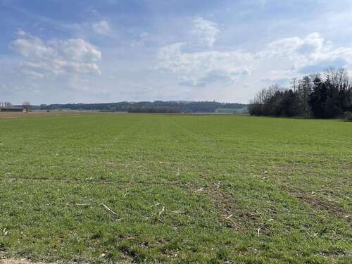 Foto - Grundstück in Rieden 218.040,00 € 18170 m²