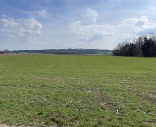 Grundstück in Rieden 218.040,00 € 18170 m²