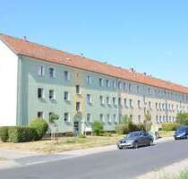 Wohnung zum Mieten in Sangerhausen 350,00 € 74 m² Wohnung zum Mieten in Sangerhausen 350,00 € 74 m²