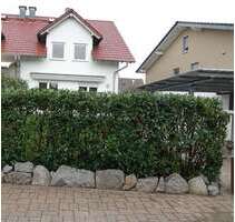 Haus zum Mieten in Einhausen 2.180,00 € 174 m²