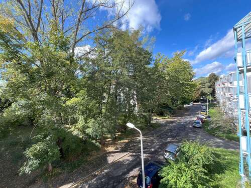 Foto - Wohnung zum Mieten in Zwickau 239,00 € 60 m²