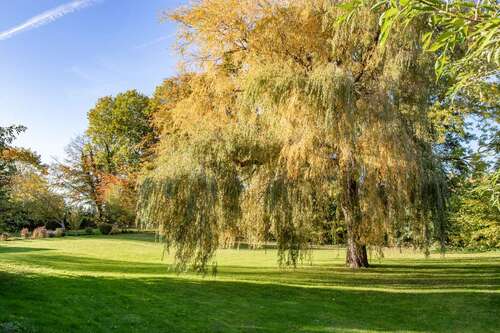 Foto - Haus zum Kaufen in Brodersby-Goltoft 440.000,00 € 135 m²