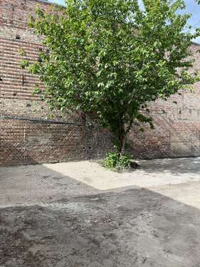 Foto - Garage zu vermieten in Braunschweig 80,00 €