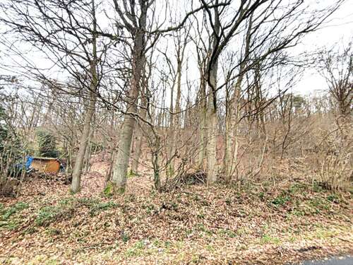 Foto - Grundstück zu verkaufen in Windeck 50.000,00 € 2100 m²
