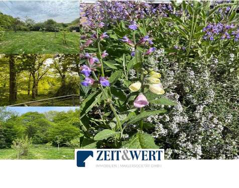 Foto - Grundstück zu verkaufen in Kolverath 19.900,00 € 2850 m²