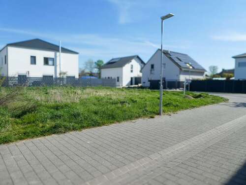 Foto - Grundstück zu verkaufen in Großniedesheim 310.000,00 € 455 m²