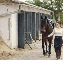 Spezialgewerbe in Wittingen 1.600.000,00 €