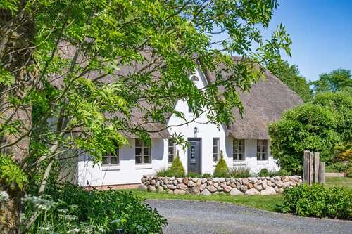 Foto - Haus zum Kaufen in Garding Kirchspiel 1.950.000,00 € 247 m²