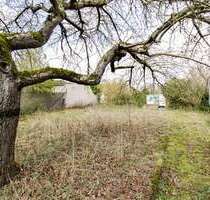 Grundstück zu verkaufen in Rottendorf 120.000,00 € 1710 m²