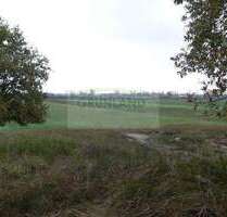 Spezialgewerbe in Großwoltersdorf 420.000,00 € 210120 m²