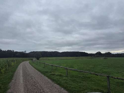 Foto - Grundstück in Moorenweis 499.000,00 € 40000 m²