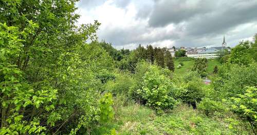 Foto - Grundstück zu verkaufen in Nordhalben 29.000,00 € 1069 m²