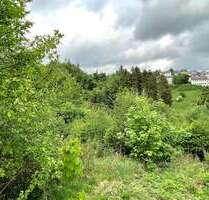 Grundstück zu verkaufen in Nordhalben 29.000,00 € 1069 m²