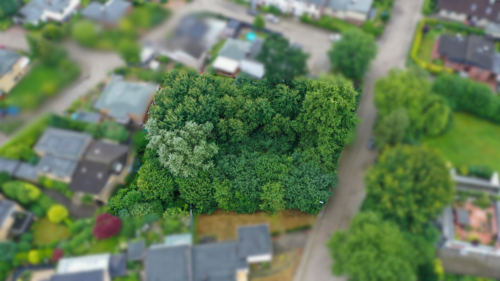 Foto - Grundstück zu verkaufen in Buxtehude 377.900,00 € 836.3 m²