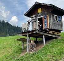 Grundstück zu verkaufen in Schönau 177.000,00 € 1777 m²