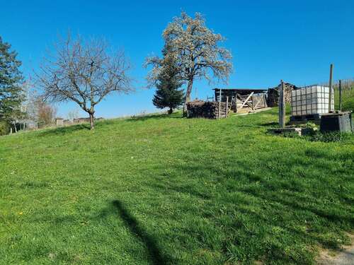 Foto - Grundstück zu verkaufen in Müllheim im Markgräflerland 485.000,00 € 917 m²