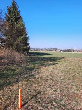 Foto - Grundstück zu verkaufen in Schönwald 99.900,00 € 1187 m²