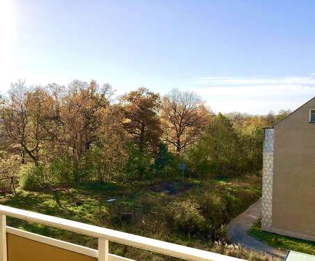 Foto - Wohnung zum Mieten in Gera 275,00 € 47.56 m²