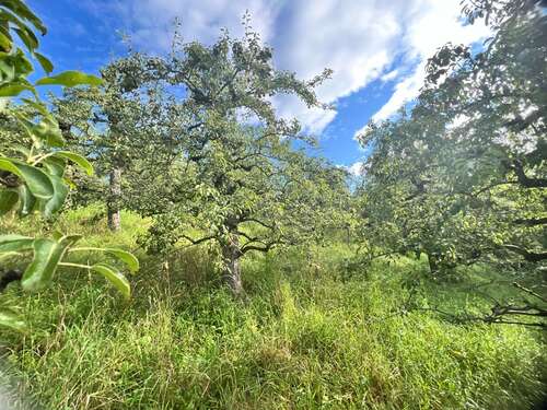 Foto - Grundstück zu verkaufen in Stuttgart 11.900,00 € 878 m²