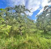 Grundstück zu verkaufen in Stuttgart 11.900,00 € 878 m²