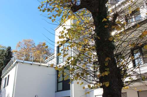 Foto - Wohnung zum Mieten in Bonn 1.500,00 € 95.2 m²