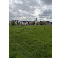 Grundstück zu verkaufen in Hochdorf 290.000,00 € 470 m²