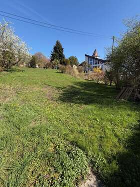 Foto - Grundstück zu verkaufen in Lenningen 235.000,00 € 617 m²