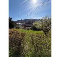 Grundstück zu verkaufen in Lenningen 235.000,00 € 617 m²