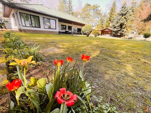 Foto - Haus zum Kaufen in Tantow Schönfeld 349.000,00 € 113.83 m²