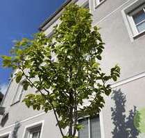Wohnung zum Kaufen in Neustadt an der Aisch 358.650,00 € 120.85 m²