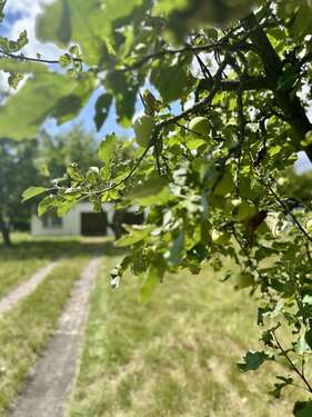 Foto - Grundstück zu verkaufen in Halle 395.000,00 € 2010 m²