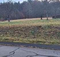 Grundstück zu verkaufen in Albstadt Laufen 250.000,00 € 776 m²